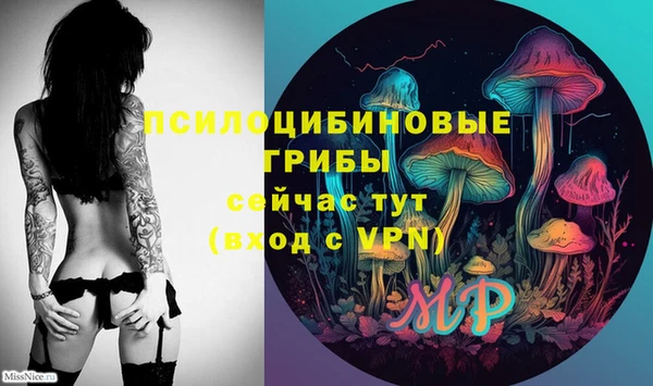 спиды Сосновка