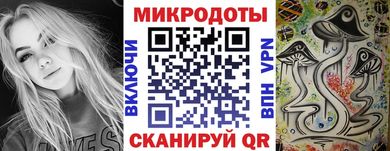 гидра сайт  Волхов  Галлюциногенные грибы Psilocybine cubensis 