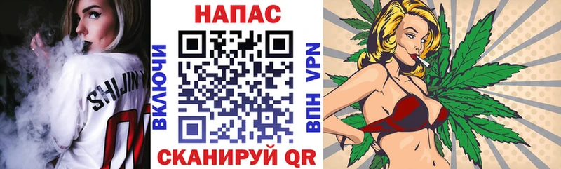 Бошки Шишки планчик  Волхов 